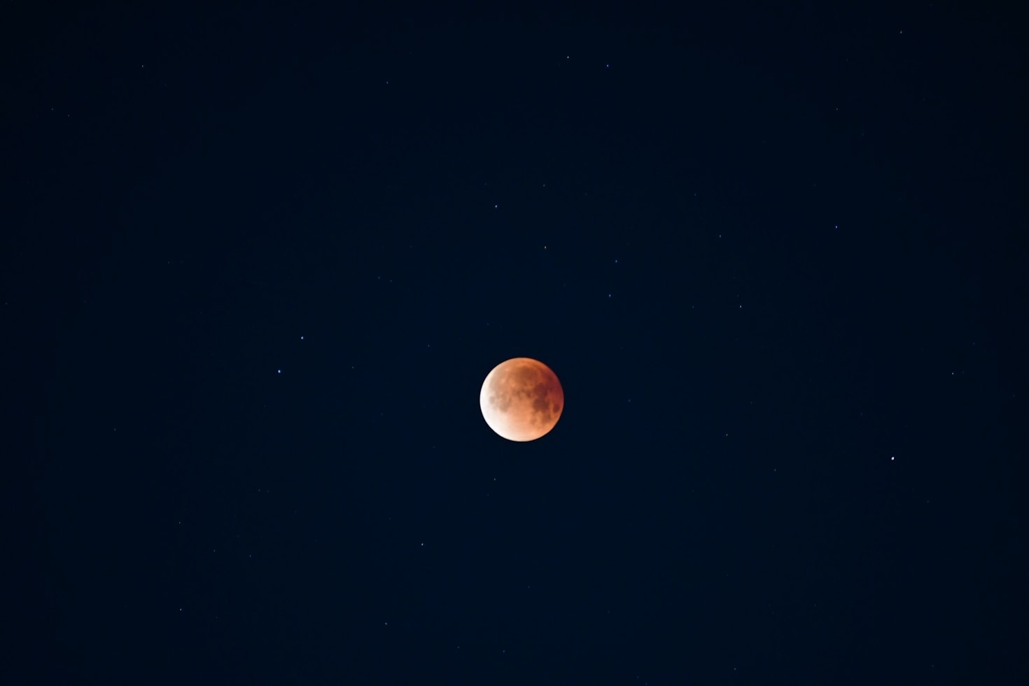 Discover the Thrill of the New Moon Game
